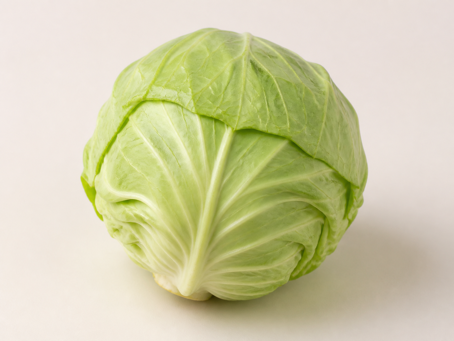 圆白菜图片