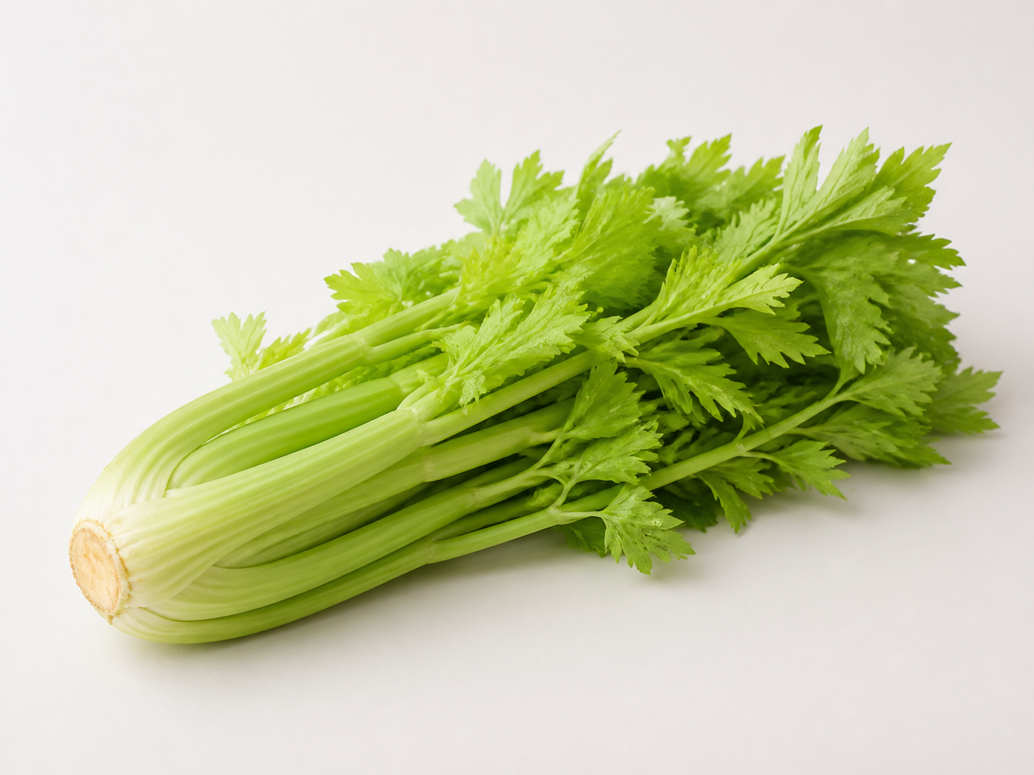芹菜图片